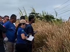 Dois corpos são encontrados em área de mata às margens da Transamazônica 